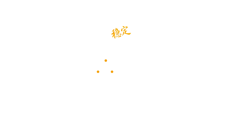 定制實(shí)力