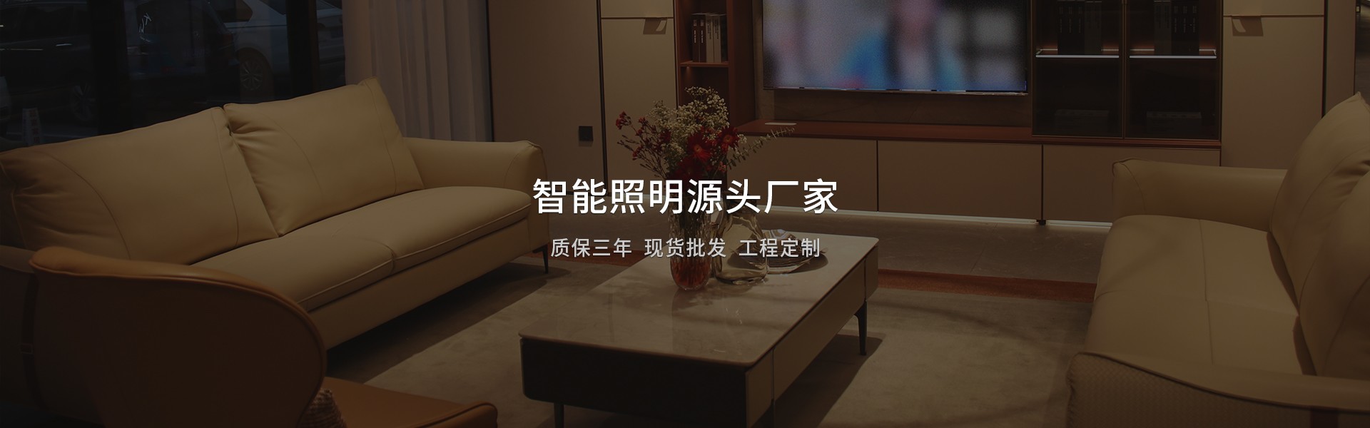 智能照明源頭廠家